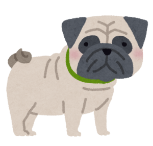 バグ夫